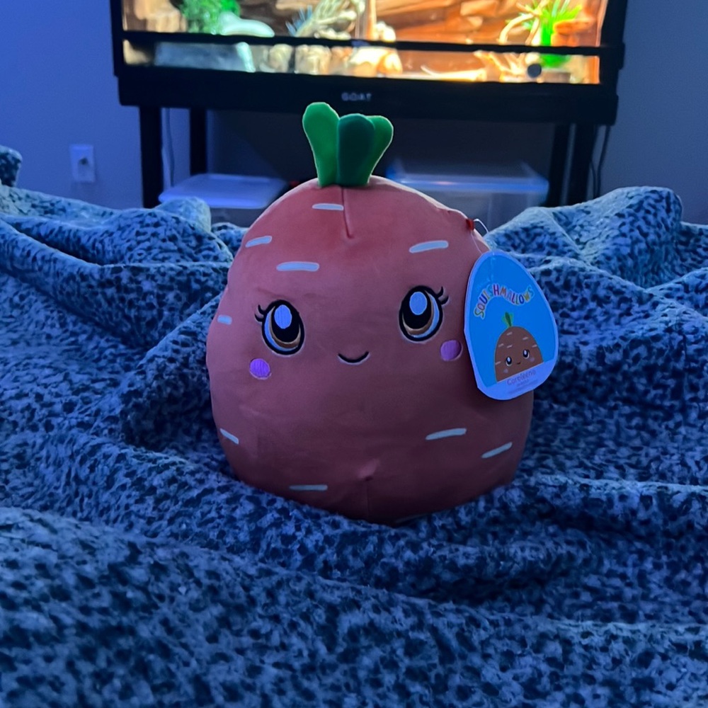 Carrot Squishmallow!